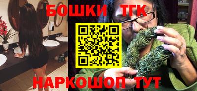индика Можайск