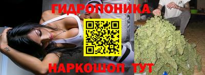 дурь Можга
