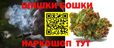 индика Можайск