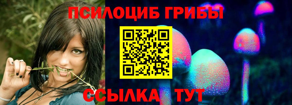 Галлюциногенные грибы мицелий  Вход с VPN  Чехов 